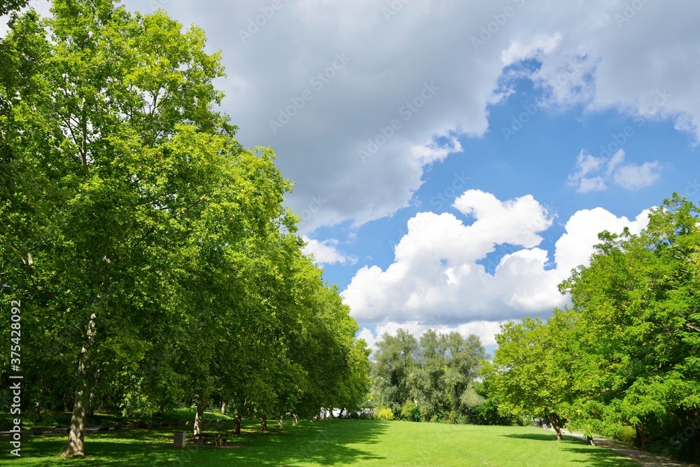 Obraz premium Parklandschaft