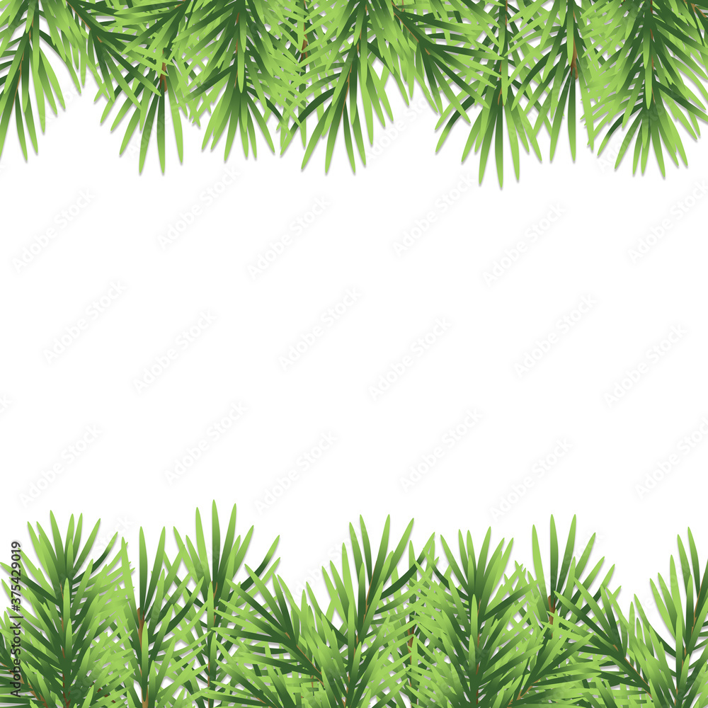 Fototapeta premium Border with Christmas tree branches on white background