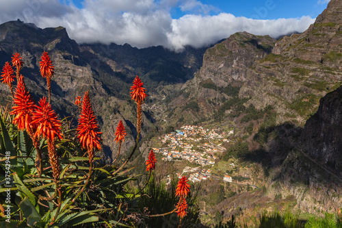 Top view of a mountain village Curral das Freiras with mountains, clouds and red flowers on the foreground, Madeira.
