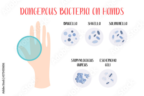Dangerous bacteria on hands: Brucella, Shigella, Salmonella, Staphylococcus Aureus, Escherichia Coli. Vector flat illustration. Perfect for flyer, medical brochure