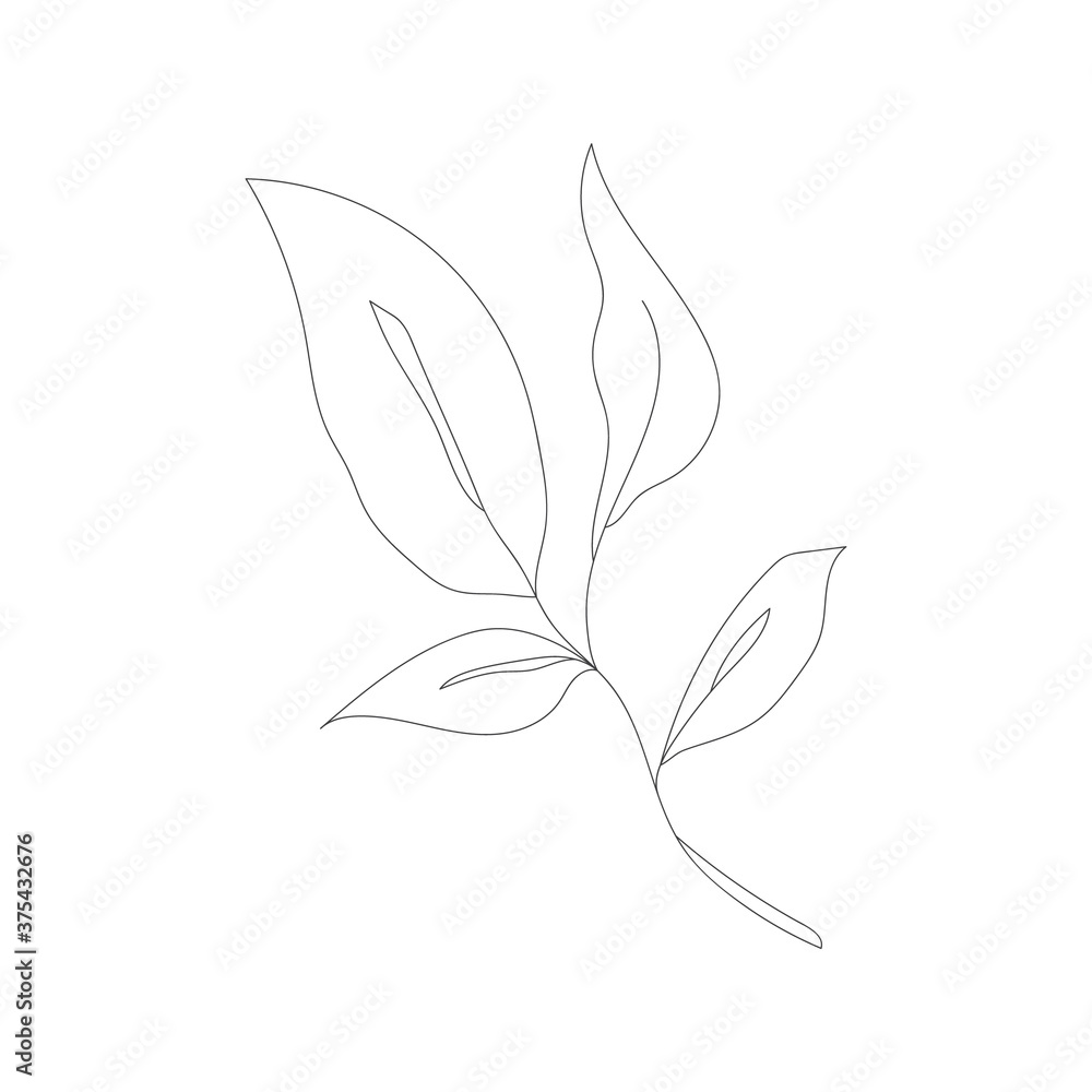 Minimalism line drawing. Flower vector one line art. Botanical Sketch Vector Illustration. Nature vector Line drawing. Minimalism line drawing. Flower vector one line art. Botanical Sketch Vector Illustration. Nature vector Line drawing.