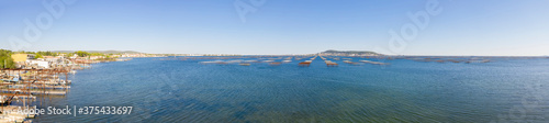 Panorama of oyster tables in Bouzigues on the Thau pond, in Herault in Occitania, France