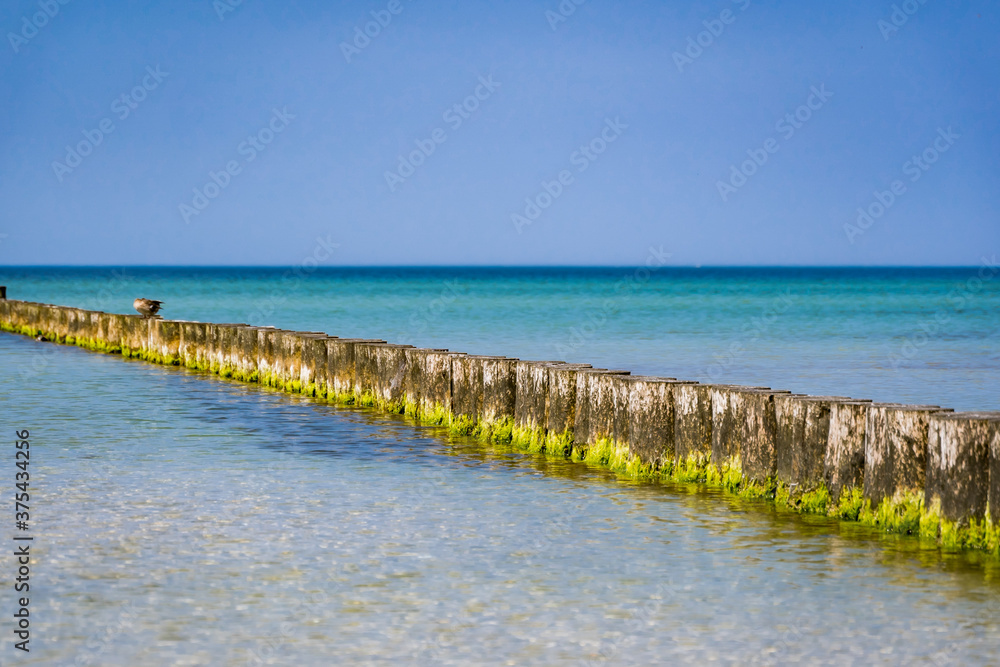 Fototapeta premium wooden pier in the ocean
