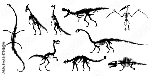 Collection silhouettes of dinosaurs skeletons. Vector hand drawn dino skeletons. Dinosaurs bones, exhibit fossils in the museum. Sketch set Velociraptor, Diplodocus, Parasaurolophus etc