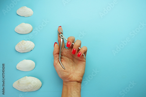 Manicure tool cuticle nippers in a female hand on a blue background photo