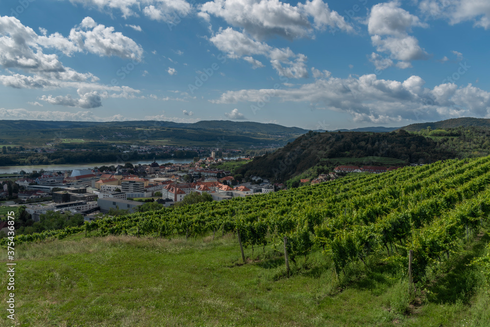 Wineyards over Krems an der Donau in summer sunny hot day