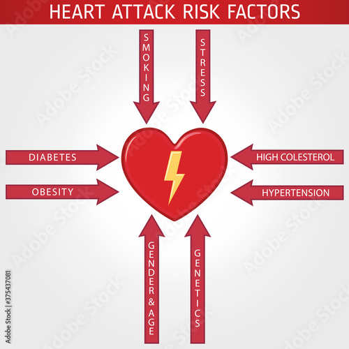 Heart attack risk factors infographic vector illustration.