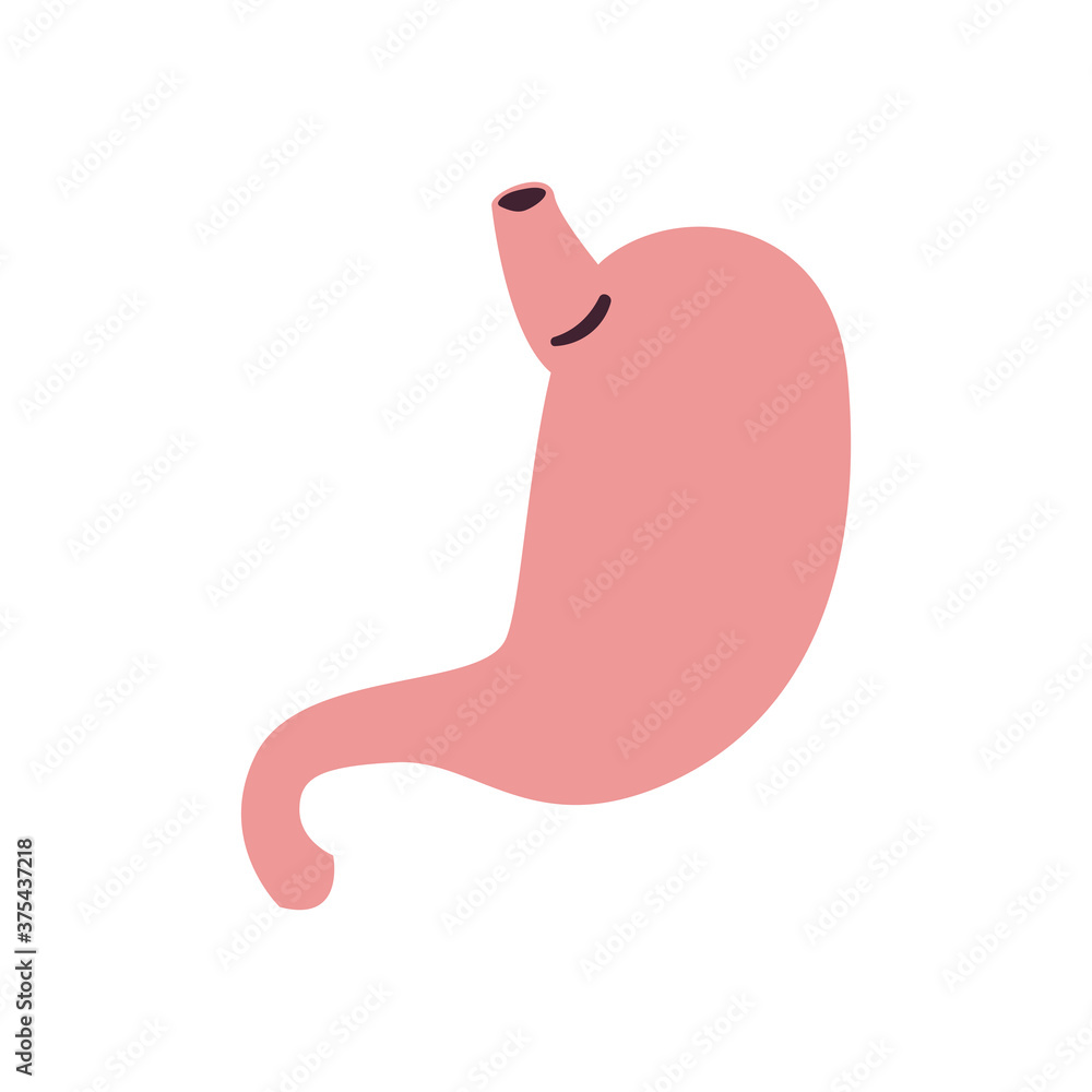 stomach free form style icon vector design stomach free form style icon vector design