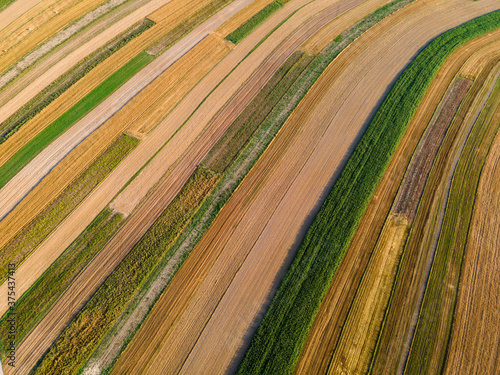 Colorful Field Rows in Countryside of Poland. Farming and Agriculture. Drone View