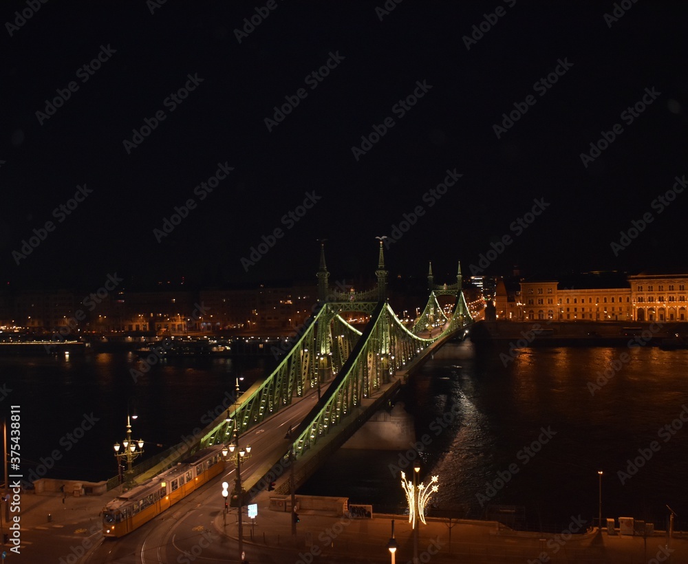 Obraz premium Train in Bridge