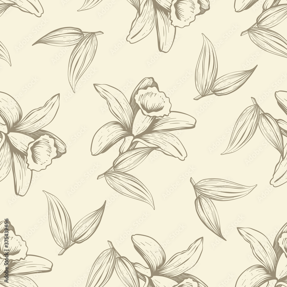 Vanilla Background