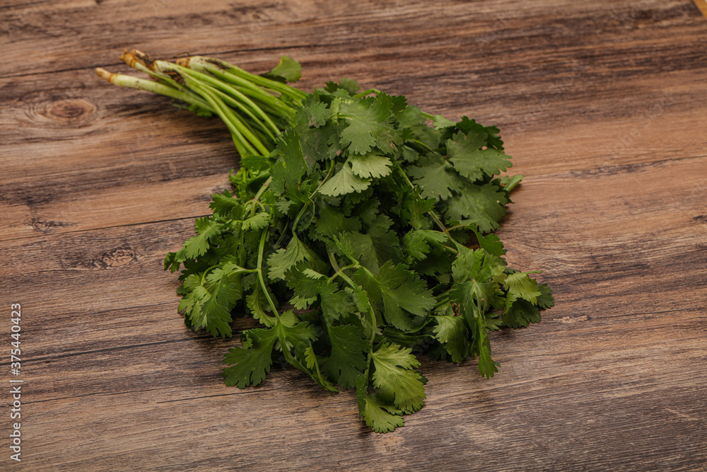 Green coriander or cilanto leaves heap Green coriander or cilanto leaves heap