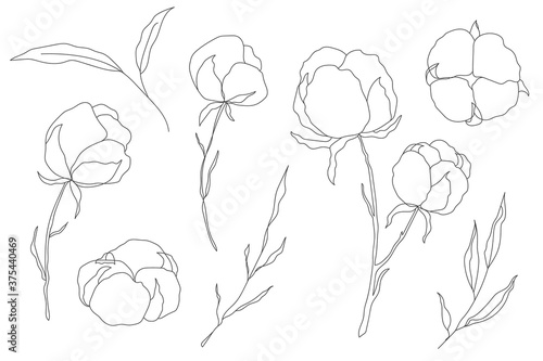 Graphic cotton collection. one line drawing