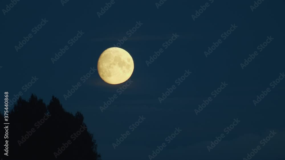 Almost full moon waxing gibbous rise over trees time lapse Almost full moon waxing gibbous rise over trees time lapse