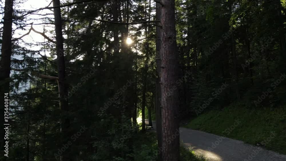 Forest Path with Sun Flare sliding Drone/Gimbal Shot right 4K Slow Motion, Lens Flare, moody, woods Forest Path with Sun Flare sliding Drone/Gimbal Shot right 4K Slow Motion, Lens Flare, moody, woods