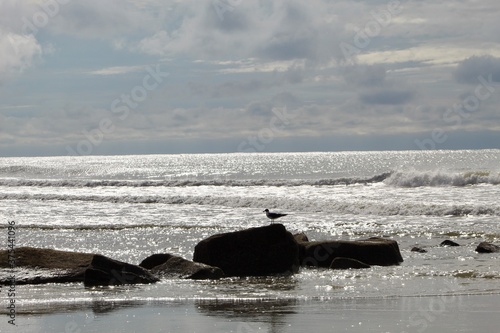 Charleston Beach