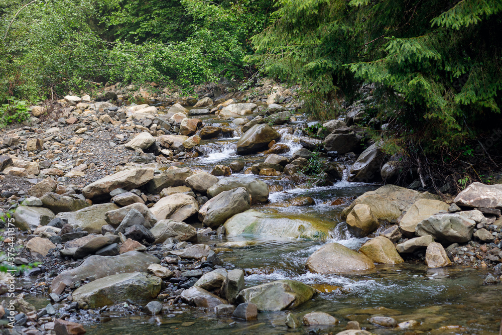 Sources of the mountain river Running on stones in the forest. Sources of the mountain river Running on stones in the forest.