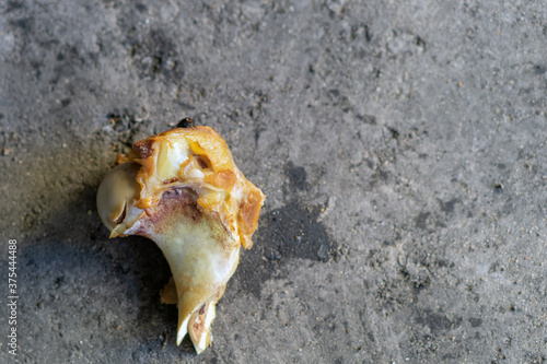 part of an animal's bone with cut meat lies on black asphalt