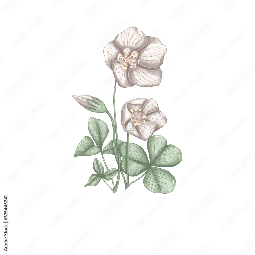 cute white nursery art element, hand drawn flower decoration cute white nursery art element, hand drawn flower decoration