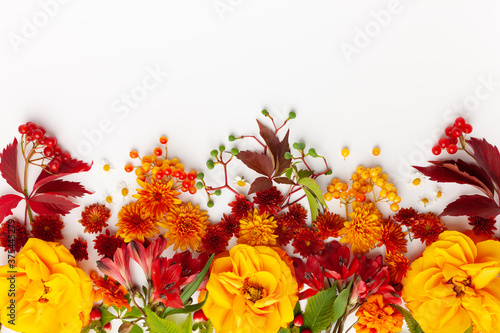 Photos Autumn composition with flowers, leaves and berries on white background