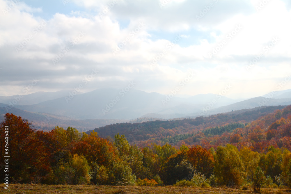 Drzewa jesienią w górach