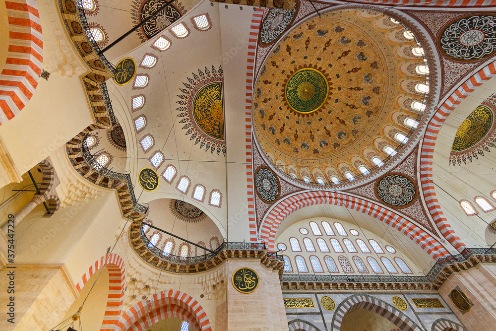 Domes of historical Suleymaniye Mosque in Istanbul, Turkey