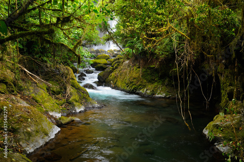 Fototapeta Naklejka Na Ścianę i Meble -  Thick tropical rainforest jungle and stream with waterfall at Poas volcano Costa Rica