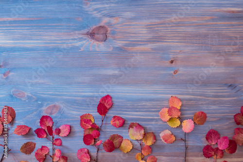 Flat lay composition with colorful autumn leaves on wooden background