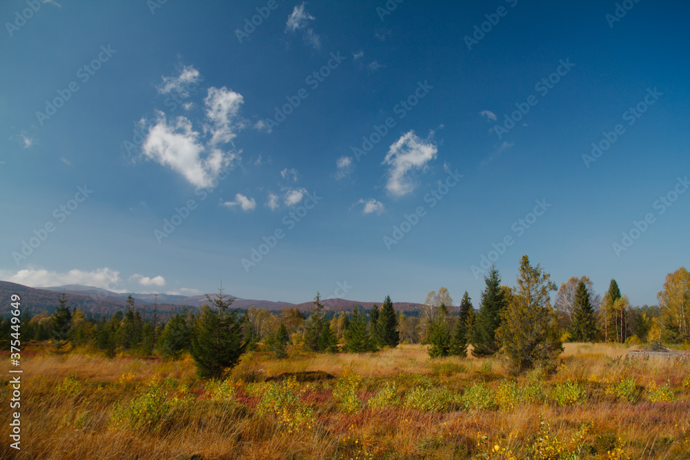 Krajobraz  jesienny