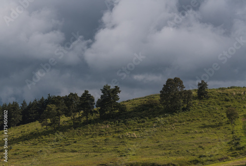 Minimalist landscape, trees on a hill with a cloudy sky behind the mountain