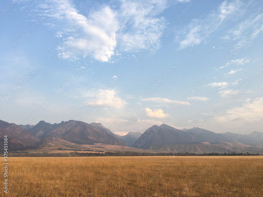 Fototapeta premium Field in Montana