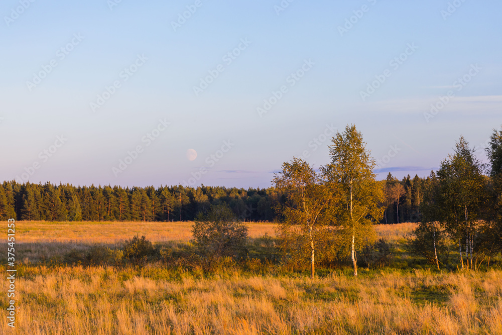 Autumn countryside lanscape with trees in the field