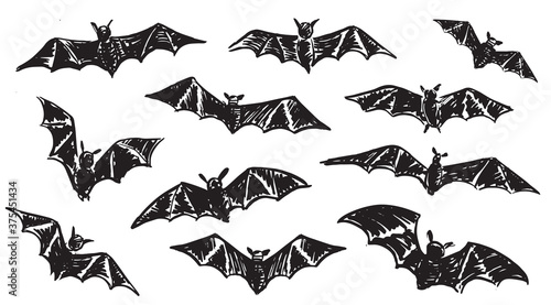 Bat sketch. Hand drawn illustration. 