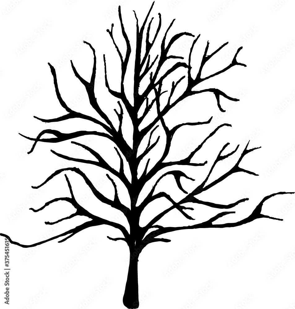 Obraz premium Christmas tree theme winter vector