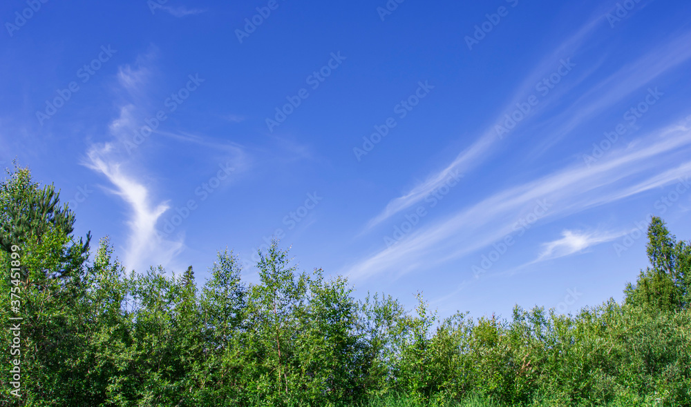 The blue sky is patterned with white clouds. Green forest The blue sky is patterned with white clouds. Green forest