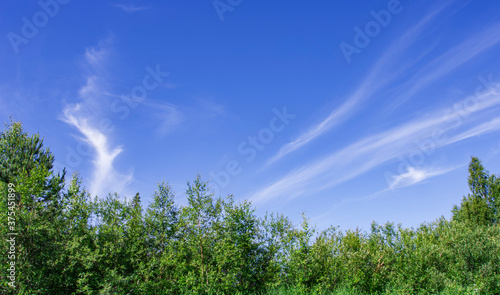 The blue sky is patterned with white clouds. Green forest