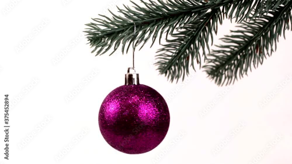 Purple Christmas ball on a fir branch, white background, isolate. Close-up. Purple Christmas ball on a fir branch, white background, isolate. Close-up.