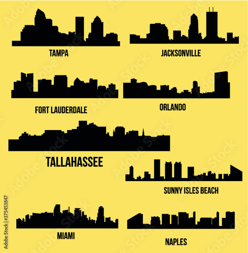 8 City silhouette in Florida ( Naples, MIami, Fort Lauderdale, Tampa, Orlando, Tallahassee, Sunny Isles Beach, Jacksonville )