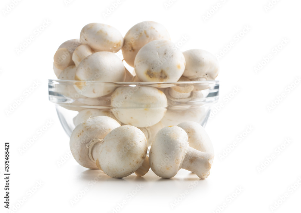 Fresh white champignon mushrooms Fresh white champignon mushrooms