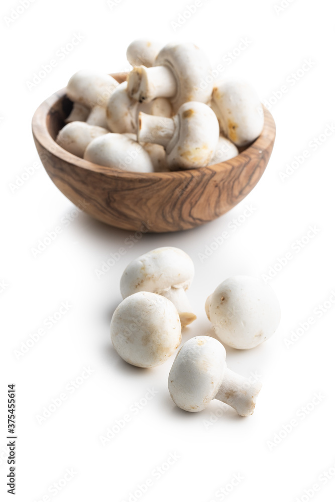Fresh white champignon mushrooms Fresh white champignon mushrooms
