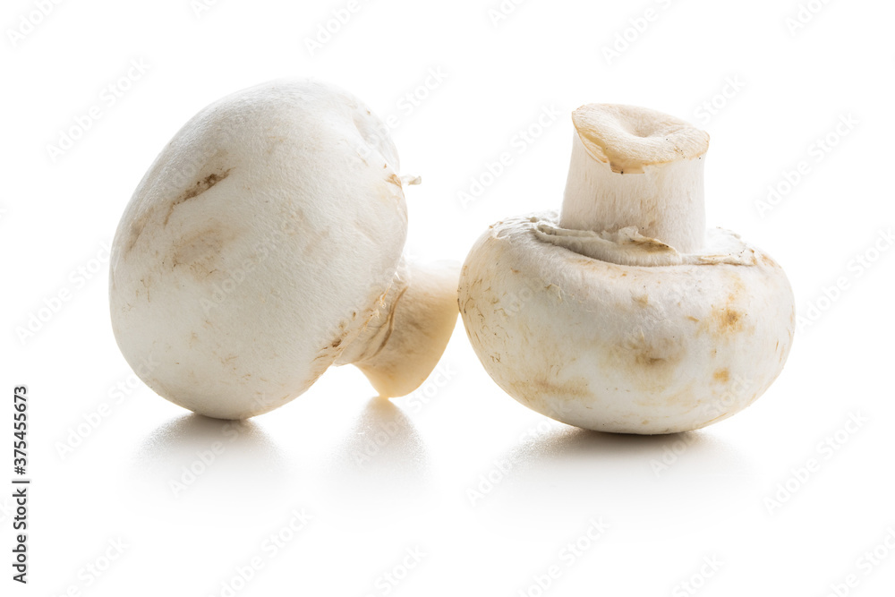 Fototapeta premium Fresh white champignon mushrooms