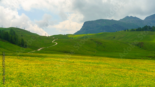 Landscape of Dolomites in Venegia valley at summer