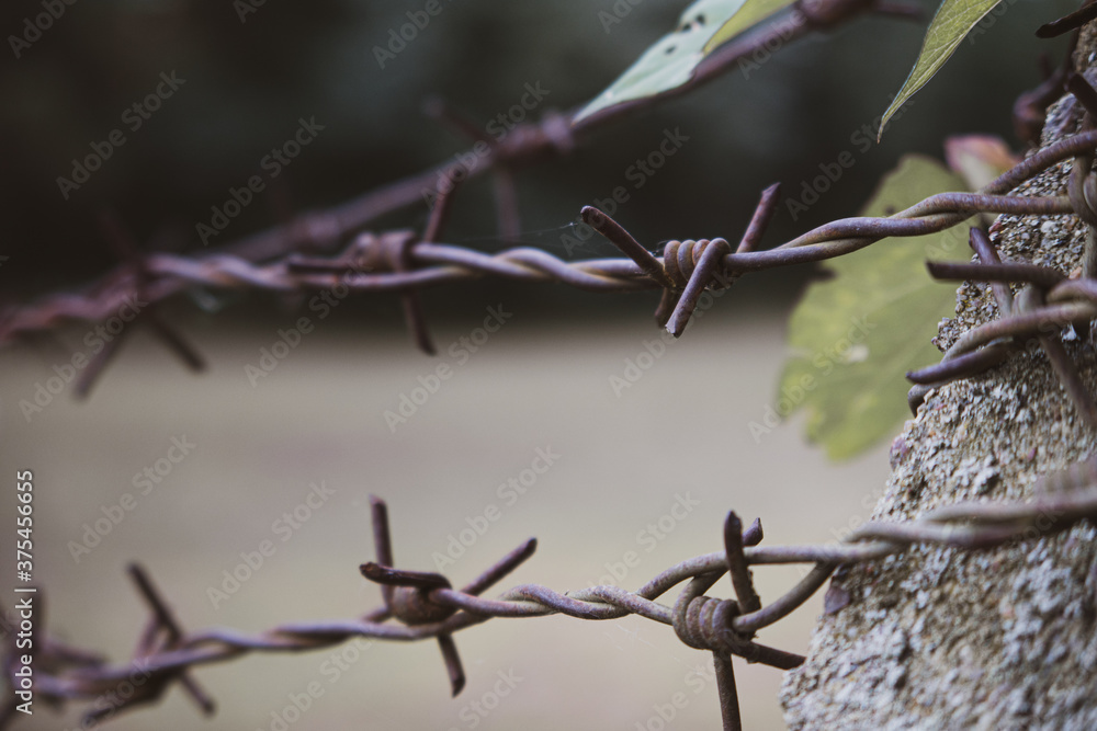 close-up of a rusty barbed wire on a concrete pillar close-up of a rusty barbed wire on a concrete pillar