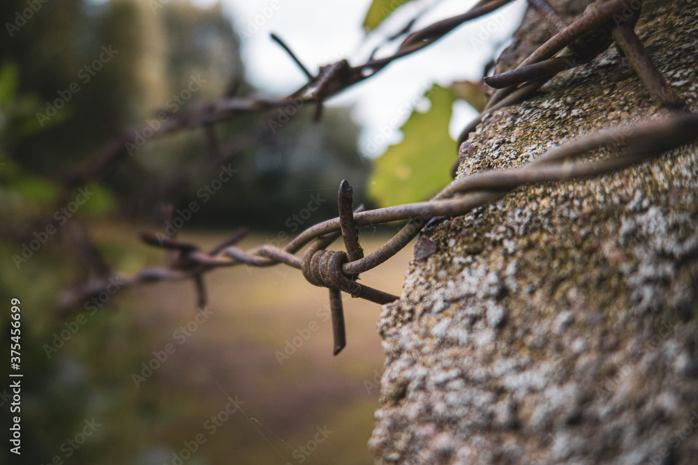  close-up of a rusty barbed wire on a concrete pillar