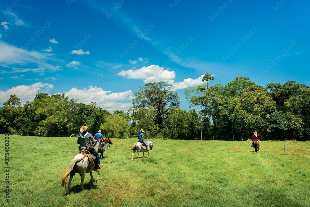 cuatro jinetes motados en sus caballos bajo el sol del medio dia 