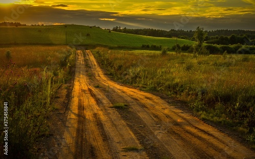Fototapeta Naklejka Na Ścianę i Meble -  country road in the field