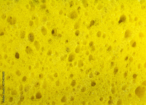 sponges for dishwashing for washing closeup, close-up porous texture.