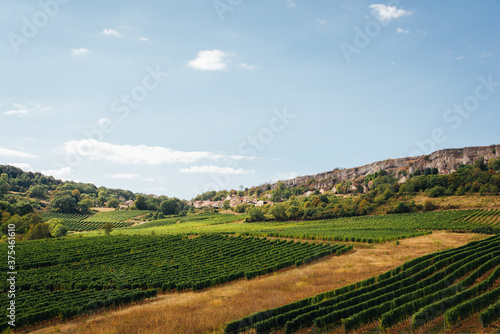 vignes et vignoble en c  te d or. Village d orches en Bourgogne
