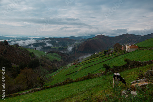 Paisaje de un pueblo del concejo de Tineo(Asturias) © JD