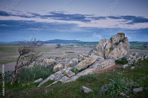 Alentejo Plains at blue hour, Castro Verde